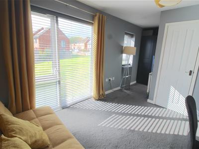Picture 11